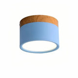 spot LED de plafond cylindrique macaron scandinave dimmable pour couloir