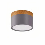 spot LED de plafond cylindrique macaron scandinave dimmable pour couloir