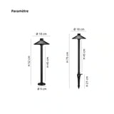 Lampe solaire jardin à piquer LED moderne aluminium noir IP65