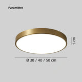 Plafonnier en laiton rond moderne LED dimmable pour chambre