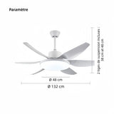 Ventilateur de plafond à 6 pales avec lumière LED moderne et silencieux 6 vitesses fonction été hiver Ø 132 cm pour salon