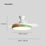 Ventilateur de plafond à pales rétractables silencieux LED dimmable mode été hiver pour chambre