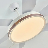 Ventilateur de plafond silencieux avec lumière LED moderne à 6 pales moteur DC 6 vitesses mode été hiver et minuterie Ø 132 cm pour salon