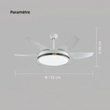 Ventilateur de plafond silencieux avec lumière LED moderne à 6 pales moteur DC 6 vitesses mode été hiver et minuterie Ø 132 cm pour salon
