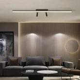 Plafonnier barre 2 spots orientables LED noir minimaliste pour salon