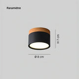 spot LED de plafond cylindrique macaron scandinave dimmable pour couloir