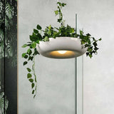 Lustre De Plante De Plafond Créatif Nordique - Lampe Magasin